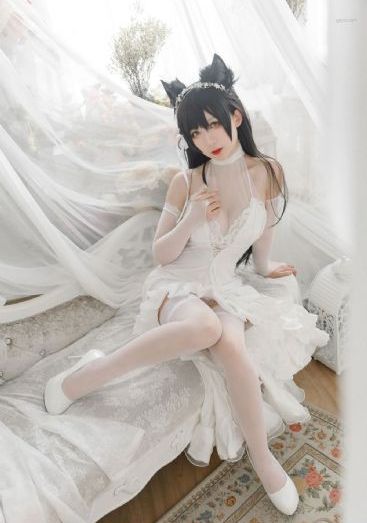 555追剧入口