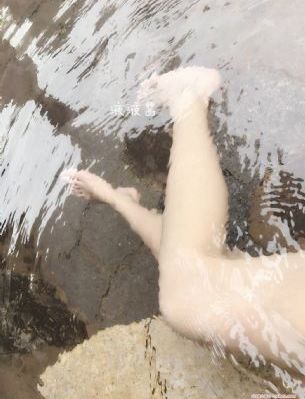 木府风云电视剧免费观看完整版